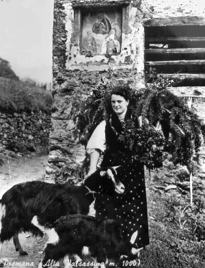 La Severina