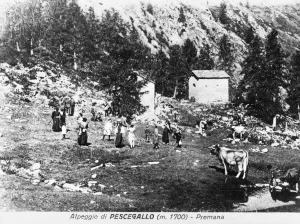 Giochi all'alpe