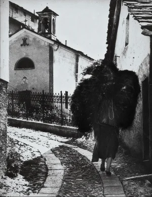 Il carico di fieno