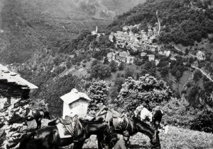 Grandi manovre militari