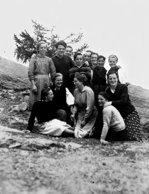 Amici
